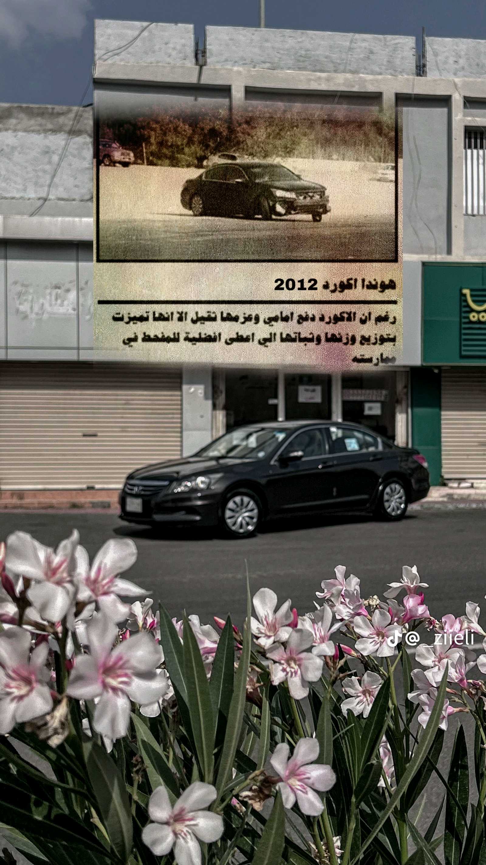 اكورد 2009